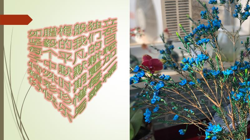 bc45f46be69c50600cb1bc863886e61 (2).jpg